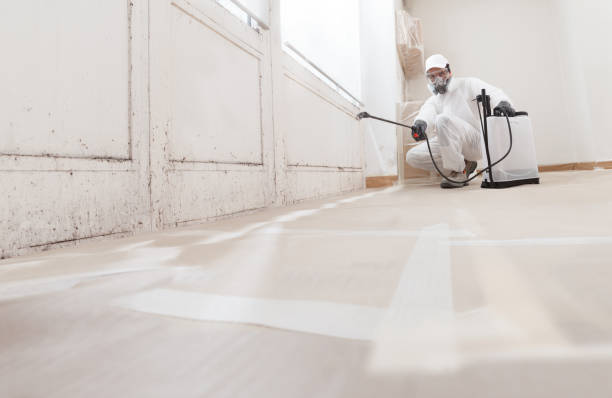 24/7 Emergency Attic Mold Remediation experts in West Long Branch, NJ