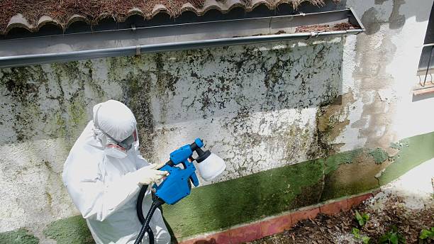 Top rated local Attic Mold Remediation specialists in West Long Branch, NJ